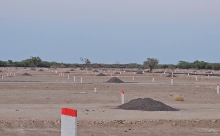 बाड़मेर में भू - माफीयाओ का खेल: 100 से ज्यादा फर्जी कॉलोनियां , सरकारी जमीनों पर कब्जे का खुलासा?