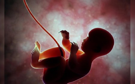 18 माह में जन्म, पैदा होते ही चलेगा बच्चा: पृथ्वीराज सिंह कोलू का अनोखा दावा