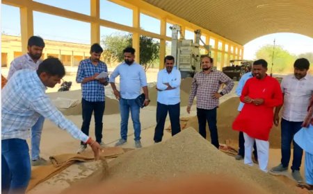 जैसलमेर में जीरे की खरीद शुरू: पहले 5 किसानों का सम्मान, नीलामी का शुभारंभ