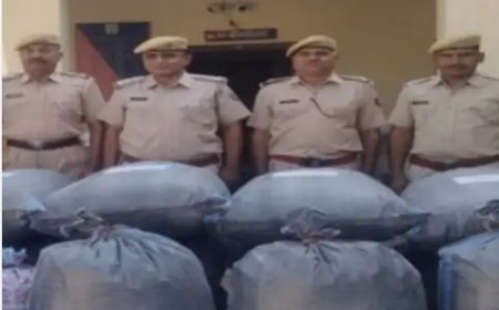 पाली में 25 लाख का डोडा पोस्त जब्त: तस्कर ने अंधेरे का उठाया फायदा, पुलिस छानबीन में जुटी