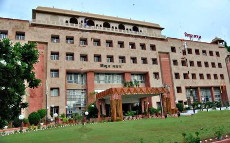 25 साल का इंतजार: बिजली कार्मिकों की तबादला मांग कब होगी पूरी?"