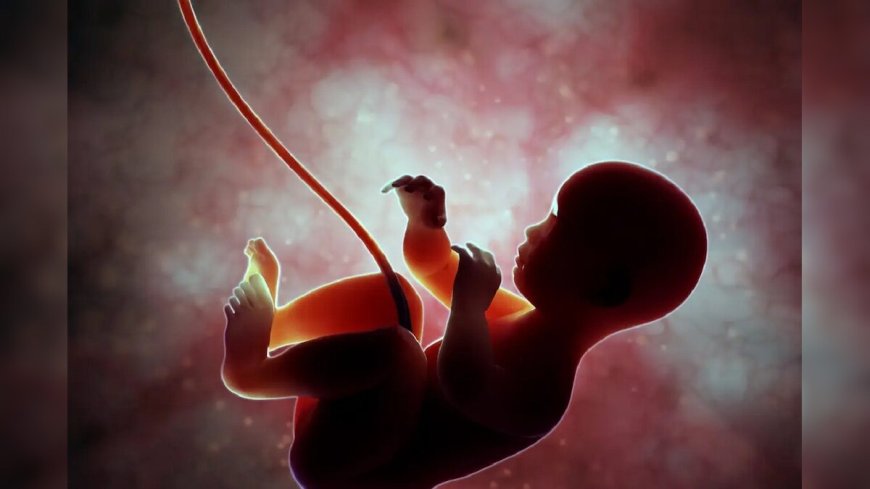 18 माह में जन्म, पैदा होते ही चलेगा बच्चा: पृथ्वीराज सिंह कोलू का अनोखा दावा
