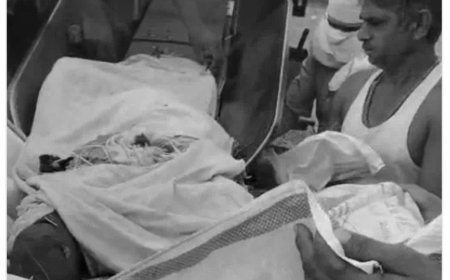 थ्रेशर की चपेट में किसान की दर्दनाक मौत: शरीर के टुकड़े-टुकड़े, गांव में मचा कोहराम