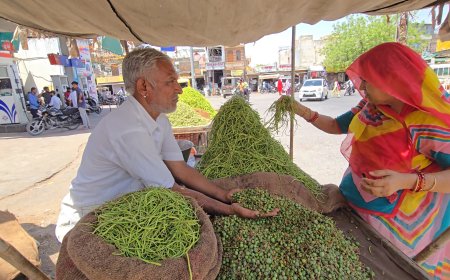 जानिए क्या है मारवाड़ का सोना: केर और सांगरी – रेगिस्तान की धरोहर और स्वाद की कहानी