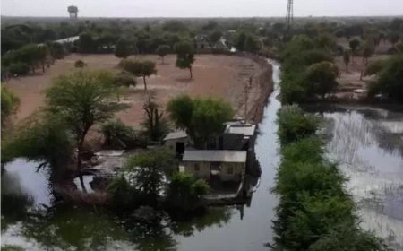 केमिकल के पानी ने छीनी गांवों की जिंदगी: कुंवारे रह गए लड़के, खेत बंजर, मच्छरों का आतंक