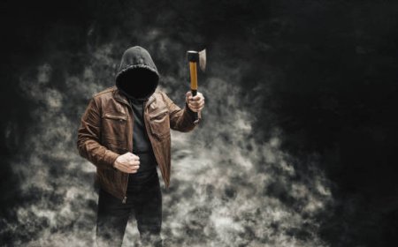 भीलवाड़ा में साइको किलर का खौफनाक खेल मंदिर ह*त्याकांड से और शवों का सनसनीखेज खुलासा...!