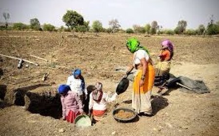 राजस्थान में मनरेगा में 1200 करोड़ का फर्जीवाड़ा पकड़ा: फर्जी अटेंडेंस दिखाकर मोटा पैसा उठा रहे थे मेट; 5 हजार से ज्यादा कर्मचारियों को नोटिस