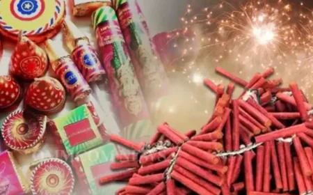 भारत-पाक तनाव के बीच पंजाब और राजस्थान में आतिशबाजी व पटाखों पर 7 जुलाई तक रोक