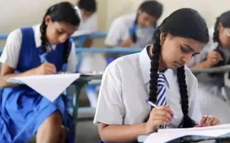 बाड़मेर में शिक्षा का नया अध्याय: स्कूल, कॉलेज और कोचिंग सेंटर कल से खुलेंगेबाड़मेर में शिक्षा का नया अध्याय: स्कूल, कॉलेज और कोचिंग सेंटर कल से खुलेंगे