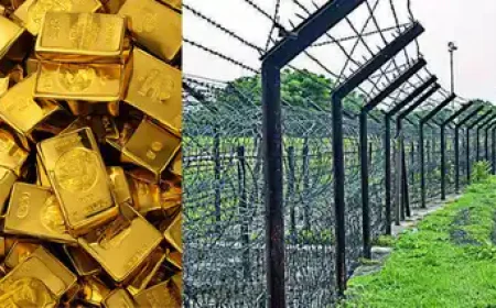 सीमा पर BSF की ताबड़तोड़ कार्रवाई: 1 करोड़ से ज्यादा का सोना जब्त, 2 तस्कर गिरफ्तार