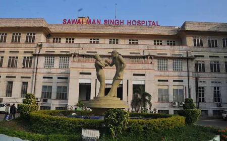 राजस्थान में भीषण गर्मी और हीट स्ट्रोक को लेकर चिकित्सा विभाग की चेतावनी: ब्रेन हैमरेज, हार्ट फेल्योर और अनियमित धड़कनों का खतरा...