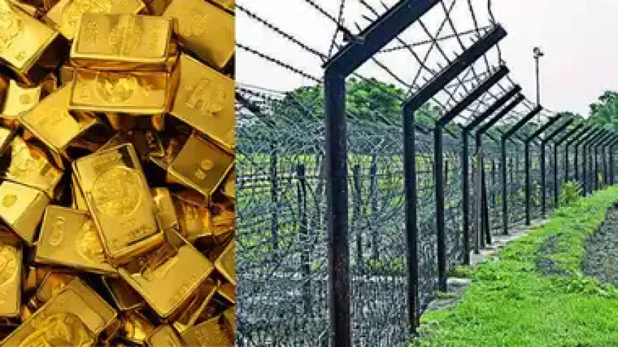 सीमा पर BSF की ताबड़तोड़ कार्रवाई: 1 करोड़ से ज्यादा का सोना जब्त, 2 तस्कर गिरफ्तार