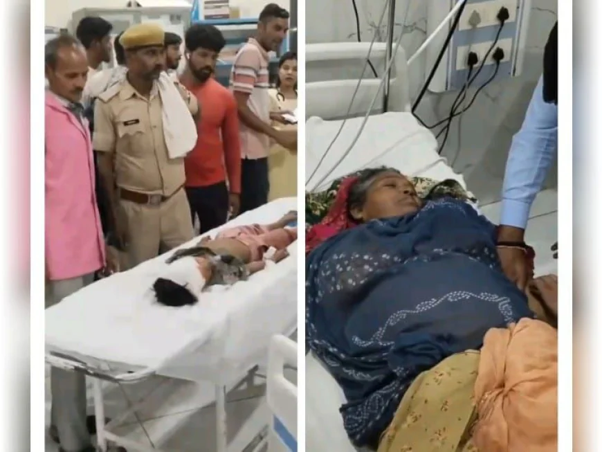 चित्तौड़गढ़-भीलवाड़ा जिले "आंधी की बेरहम चपेट में टूटा परिवार: दादी और मासूम सूरज की दर्दनाक मौत, गांव में छाया मातम"