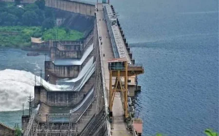 जून में छलक सकता है राणा प्रताप सागर बांध, जलस्तर क्षमता के करीब