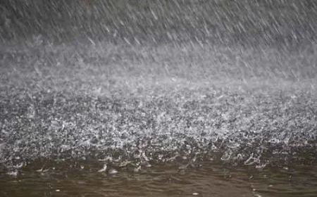 सूर्यनगरी में बारिश की फुहार: जोधपुर में झमाझम बारिश ने दी गर्मी-उमस से राहत"