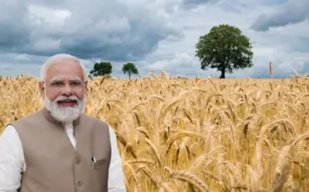 पीएम किसान सम्मान निधि: 20वीं किस्त का इंतजार, इन कारणों से अटक सकती है राशि