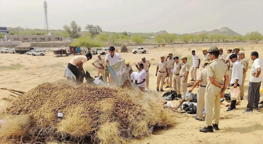 बाड़मेर में नशे के खिलाफ बड़ी कार्रवाई: एनडीपीएस एक्ट के 45 प्रकरणों में 1171 किलो डोडा पोस्त, स्मैक और एमडी नष्ट