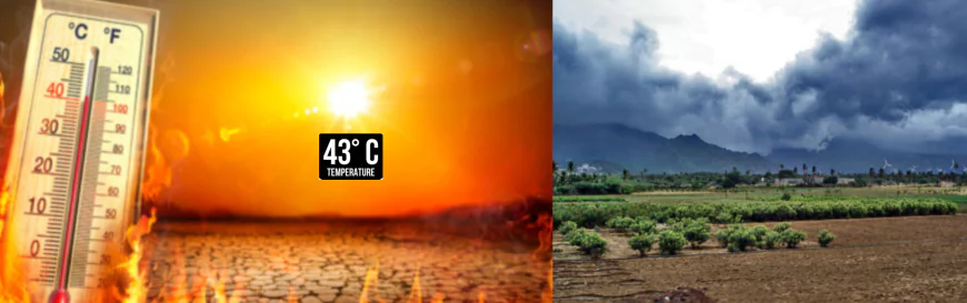 जोधपुर में सूरज का सितम जारी, पारा 43°C पर; मानसून की ठंडक बस कुछ दिन दूर!