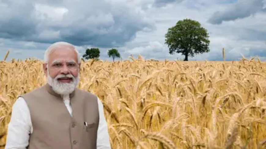 पीएम किसान सम्मान निधि: 20वीं किस्त का इंतजार, इन कारणों से अटक सकती है राशि
