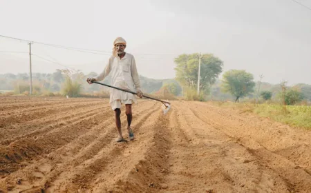 किसानों का सहारा: पीएम किसान योजना की 20वीं किस्त का इंतजार