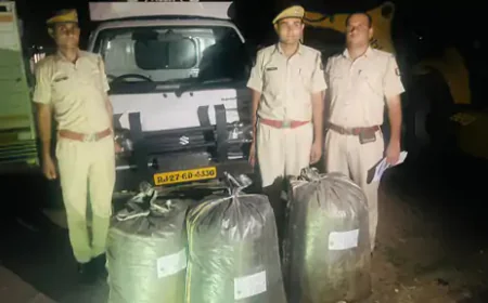डोडा पोस्त तस्करी पर पुलिस की बड़ी कार्रवाई, 331 किलो मादक पदार्थ जब्त