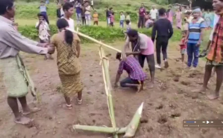 प्रेम संबंध के लिए दंपति को बैलों की तरह हल में जोतकर दी गई अमानवीय सजा