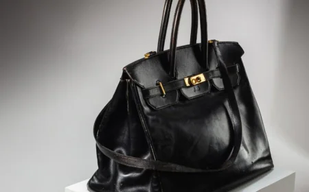 एक वजह से जापानी शख्स ने इतना पैसा 'लुटा' दिया ,87 करोड़ रुपये में बिका हैंड बैग