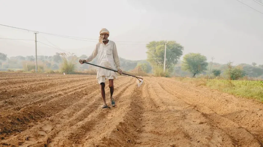 किसानों का सहारा: पीएम किसान योजना की 20वीं किस्त का इंतजार
