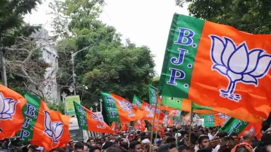 भाजपा के नए अध्यक्ष की रेस: कौन बनेगा संगठन का अगला सितारा?