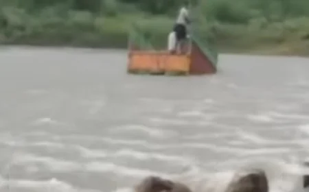 धौलपुर:भारी बारिश से उफनती पार्वती नदी के तेज बहाव में मैक्स गाड़ी बही ,सवार दो व्यक्ति सुरक्षित ,दो लापता.