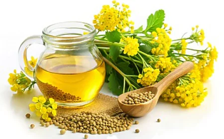 चार साल की सबसे बड़ी उछाल के साथ सरसों ₹7875 पर, किसानों की बल्ले-बल्ले, देखें लेटेस्ट रेट लिस्ट