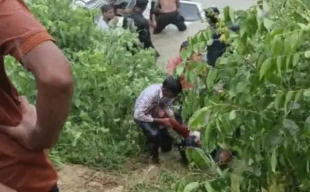 उत्तर प्रदेश के गोंडा में बोलेरो बेकाबू होकर सरयू नहर में गिरी,11 लोगों की मौत,पृथ्वीनाथ मंदिर की यात्रा बनी अंतिम सफर....