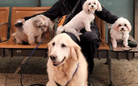 साड़ी पहन रैंप पर चमके, ₹20/दिन से ₹25 लाख/एपिसोड तक: मशहूर कॉमेडियन का रोमांचक सफर