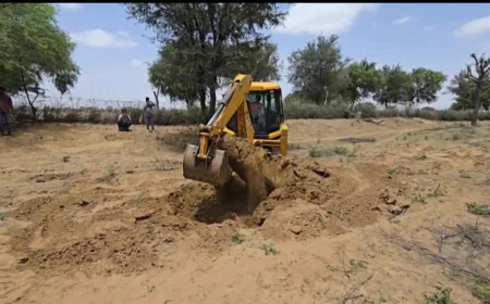 खेजड़ी सिर्फ पेड़ नहीं रेगिस्तान के जीवन का आधार है