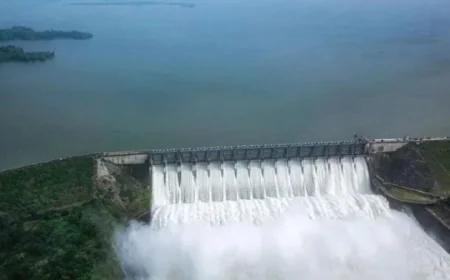 राजस्थान के बांधों में 77.06% पानी, 24 घंटे में 4.34 एमसीएम की कमी