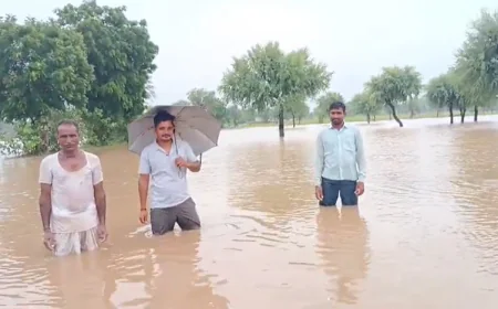 खींवसर में बाढ़ से फसल तबाही: एनएसयूआई के नेतृत्व में किसानों का भूख हड़ताल और धरना प्रदर्शन