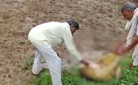 महिला की बेरहमी से हत्या, टुकड़ों में मिला शव कुएं में मिली दो बोरियों में बंद लाश, सिर अभी भी गायब