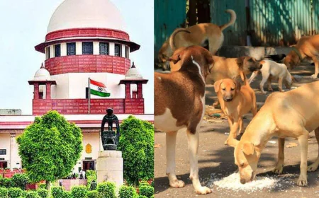 सुप्रीम कोर्ट का आवारा कुत्तों पर बड़ा फैसला: नसबंदी-टीकाकरण के बाद सामान्य कुत्तों को छोड़ने का आदेश.
