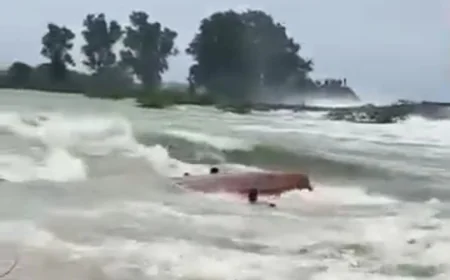 सूरवाल बांध में नाव पलटने से 10 लोग बहे, 3 बचाए गए, 7 की तलाश में जुटी NDRF.