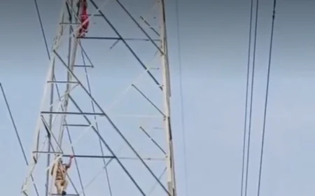 पति से विवाद के बाद बिजली टावर पर चढ़ी महिला, बहादुर कांस्टेबल ने बचाई जान.