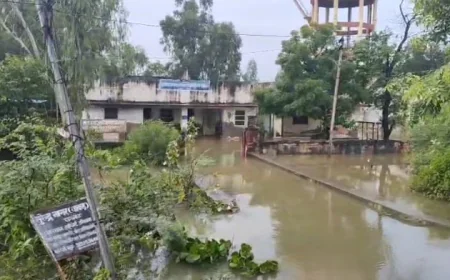 मूसलाधार बारिश का कहर,जलभराव से व्यापार ठप, प्रशासन की नाकामी ने बढ़ाई मुश्किलें.