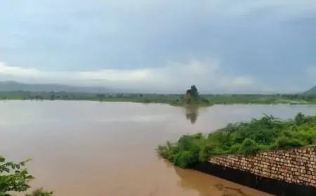 जलभराव से जनजीवन प्रभावित, बांधों में पानी की अच्छी आवक