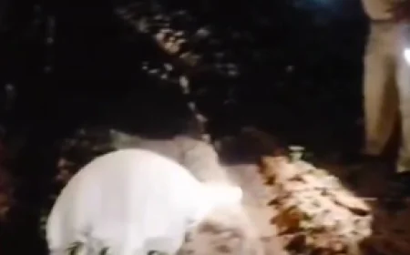 आसमान से खेत में गिरी संदिग्ध वस्तु, पुलिस जांच शुरू