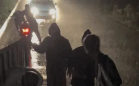 गौसेवकों पर जानलेवा हमला:तेज रफ्तार कार ने रौंदा, दो की हालत नाजुक