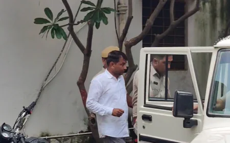 एसडीएम को थप्पड़ मामले में नरेश मीना SC-ST कोर्ट में पेश, हाईकोर्ट की जमानत पर सुनवाई टली, अगली तारीख 11 सितंबर