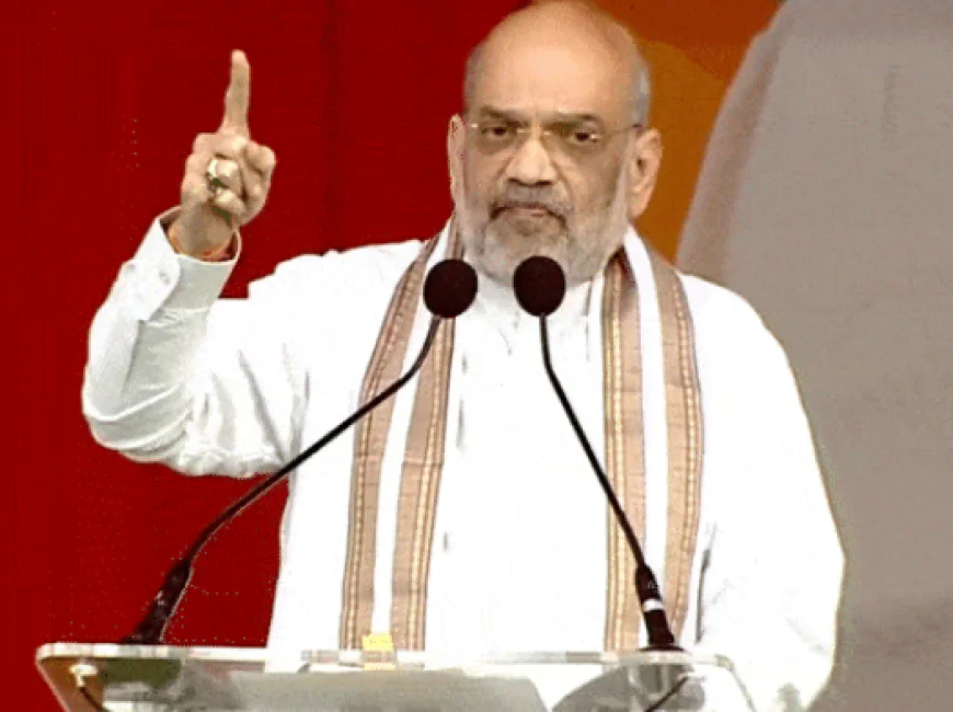 'जो भारत में जन्मा नहीं उसे वोट का अधिकार नहीं': अमित शाह का SIR पर जवाब, बिहार में NDA की स्पष्ट जीत का दावा