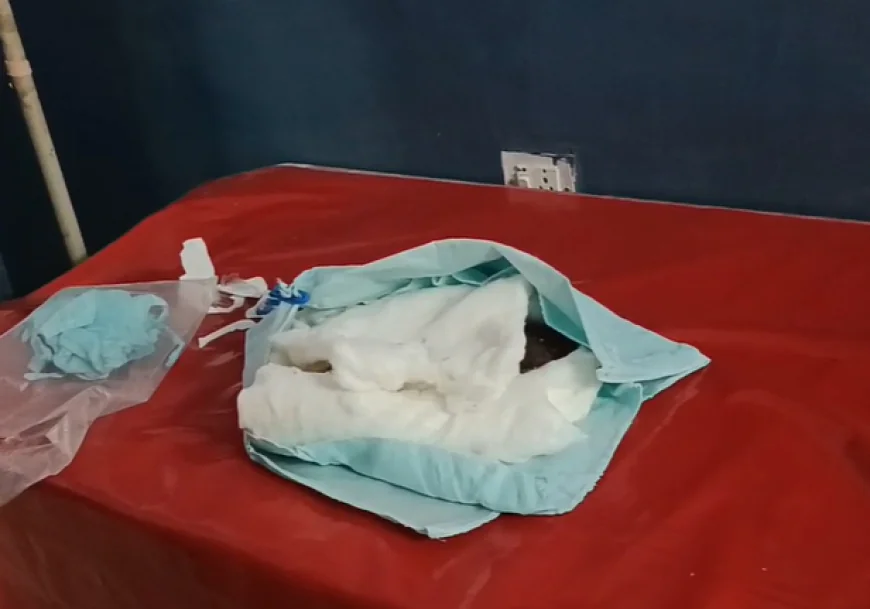 सड़क किनारे मिला जीवित नवजात लड़की भ्रूण, मां की तलाश में पुलिस