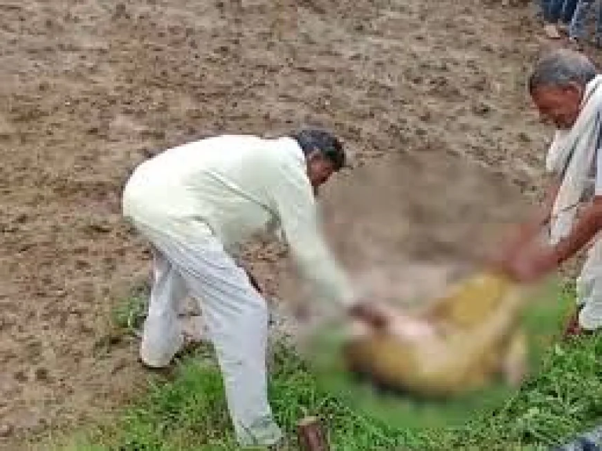 महिला की बेरहमी से हत्या, टुकड़ों में मिला शव कुएं में मिली दो बोरियों में बंद लाश, सिर अभी भी गायब