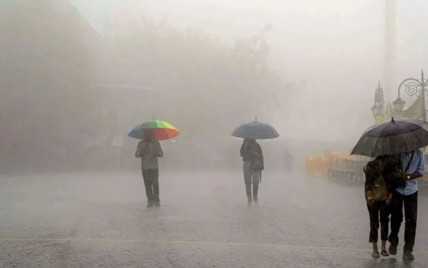 दौसा में रिकॉर्ड तोड़ 285 मिमी बारिश, राजस्थान के कई जिले जलमग्न, मौसम विभाग ने जारी किया अलर्ट.