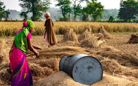 बाड़मेर में मानसून की सुस्ती: अगले कुछ दिन सूखे, लेकिन 5 सितंबर से फिर उम्मीद